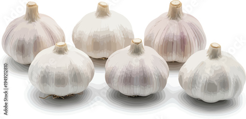 Fresh Garlic Bulbs on White Background