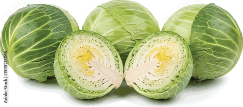 Brussels Sprouts Halved Fresh Green Vegetables on White Background