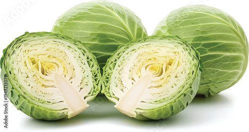 Green Cabbage Cut in Half on White Background