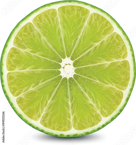 Lime Cut in Half Isolated on White Background
