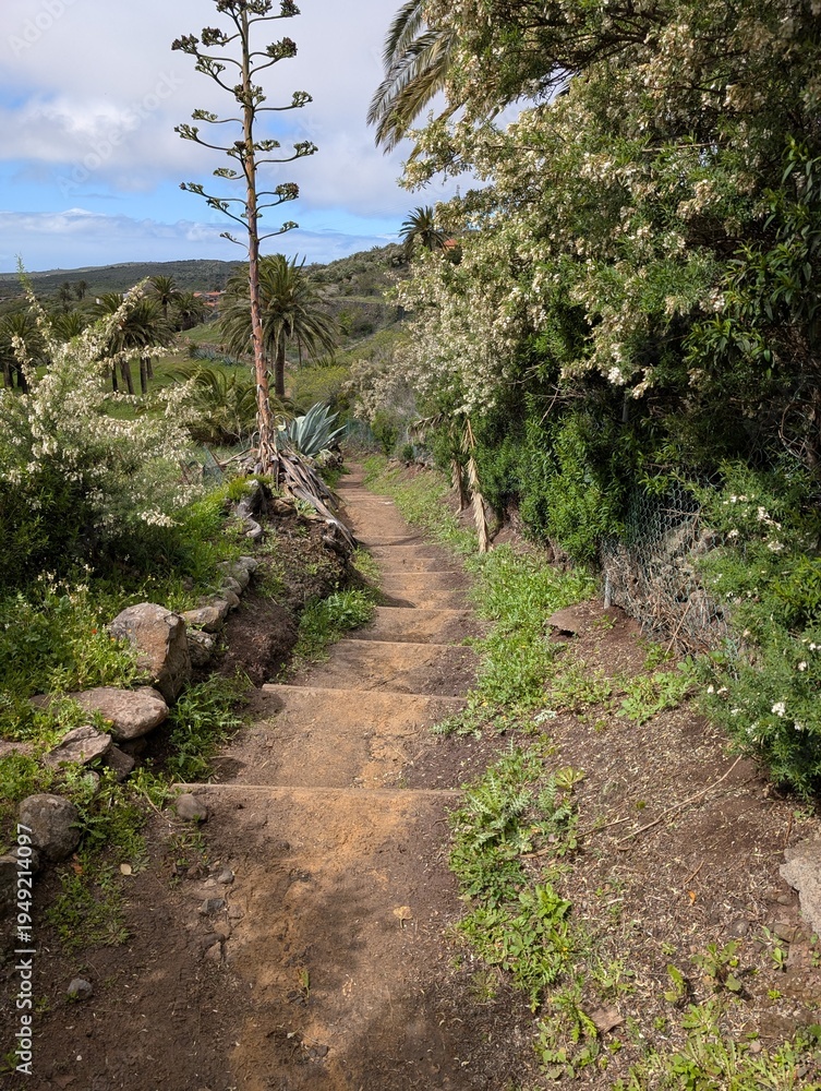 Fototapeta premium Scenic Nature Trail in El Cercado, La Gomera – Peaceful Hiking Path Through Traditional Mountain Village Landscape