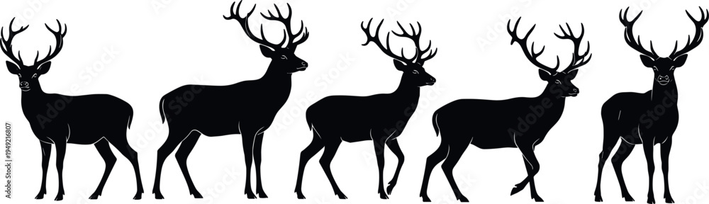 Fototapeta premium Deer Stag Silhouette Set Featuring Standing Walking And Alert Poses Isolated Black Wildlife Vector Illustration Collection