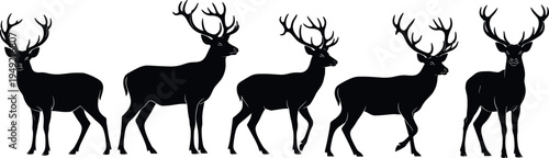Deer Stag Silhouette Set Featuring Standing Walking And Alert Poses Isolated Black Wildlife Vector Illustration Collection