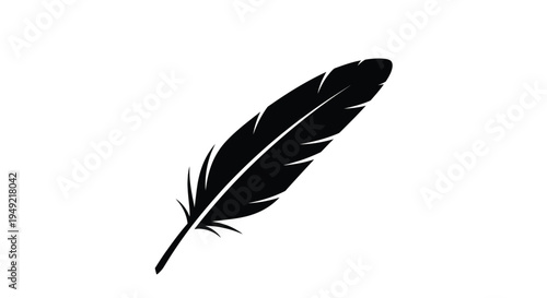 A black feather silhouette on a white background