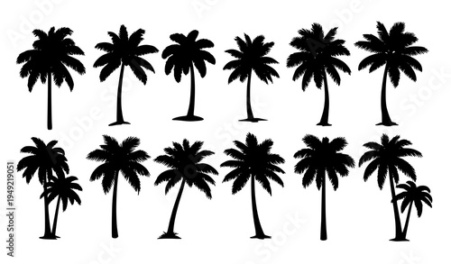 Tropical palm tree silhouettes vector set for beach and summer design