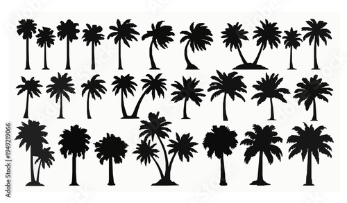 Tropical palm trees silhouette vector illustration set
