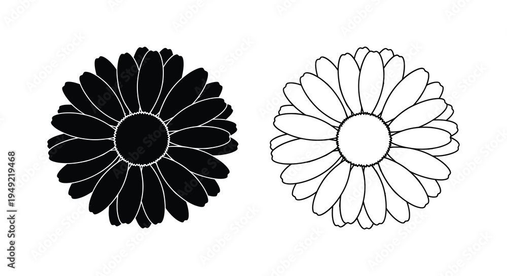 Fototapeta premium Two daisy flower illustrations one dark and one light a striking silhouette