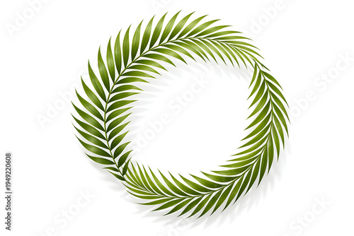Cluster of Tropical Palm Leaves Isolated on White Background with Vibrant Green Botanical Foliage