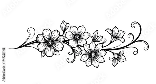 abstract, black, white, floral, flower, blossom, bloom, petals, botanical, foliage, leaves, plant, nature, decorative, ornament, pattern, design, motif, art, artwork, illustration, vector, graphic, cl