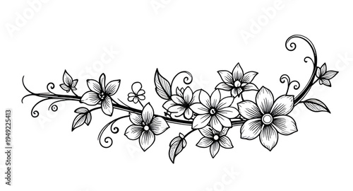 abstract, black, white, floral, flower, blossom, bloom, petals, botanical, foliage, leaves, plant, nature, decorative, ornament, pattern, design, motif, art, artwork, illustration, vector, graphic, cl