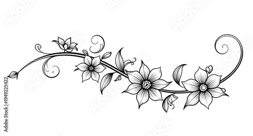 abstract, black, white, floral, flower, blossom, bloom, petals, botanical, foliage, leaves, plant, nature, decorative, ornament, pattern, design, motif, art, artwork, illustration, vector, graphic, cl
