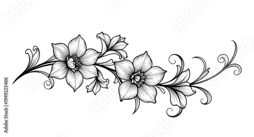 abstract, black, white, floral, flower, blossom, bloom, petals, botanical, foliage, leaves, plant, nature, decorative, ornament, pattern, design, motif, art, artwork, illustration, vector, graphic, cl