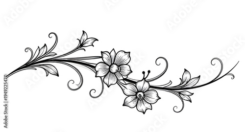abstract, black, white, floral, flower, blossom, bloom, petals, botanical, foliage, leaves, plant, nature, decorative, ornament, pattern, design, motif, art, artwork, illustration, vector, graphic, cl