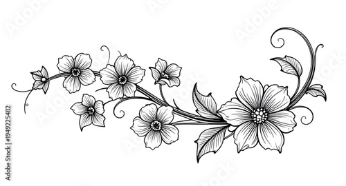 abstract, black, white, floral, flower, blossom, bloom, petals, botanical, foliage, leaves, plant, nature, decorative, ornament, pattern, design, motif, art, artwork, illustration, vector, graphic, cl