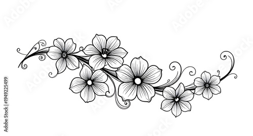 abstract, black, white, floral, flower, blossom, bloom, petals, botanical, foliage, leaves, plant, nature, decorative, ornament, pattern, design, motif, art, artwork, illustration, vector, graphic, cl