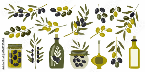 Stylized illustration of olive branches olives oil bottles and jars