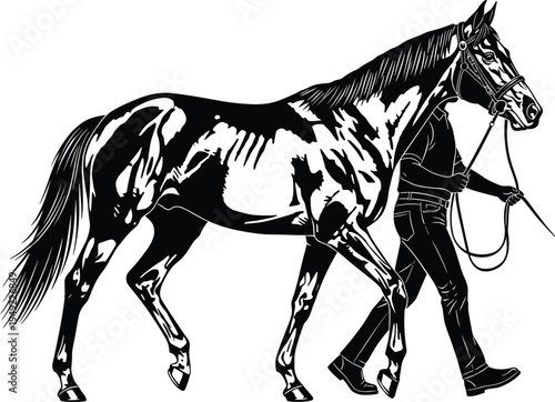 Black white horse with handler silhouette, equestrian training illustration, walking stallion vector, isolated animal graphic, farm ranch wildlife design