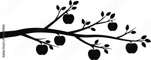 Apple tree branch silhouette, fruit illustration, leaves, orchard design, nature icon, minimal art, harvest season, agriculture, botanical decorative motif