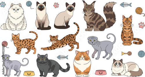 Domestic Cat Breeds Collection with Persian, Siamese, Bengal, Tabby, Scottish Fold and British Shorthair Cartoon Pet Vector Illustration Set.