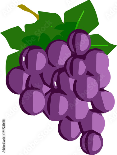 Bunch of fresh purple grapes vector for food and fruit design