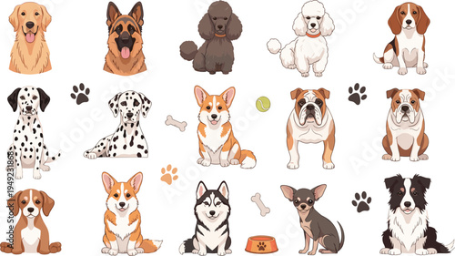 Domestic Dog Breeds Collection with Golden Retriever, German Shepherd, Poodle, Beagle, Dalmatian, Corgi, Husky, Bulldog and Chihuahua Cartoon Vector Set.