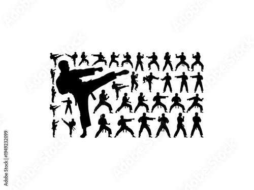 Martial Arts Karate Silhouettes Poses Collection