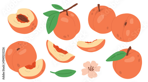 Flat vector peach set with whole, sliced, half and slice pieces,  leaves. Cute fruit collection isolated on light background. Fresh food illustration in soft style.