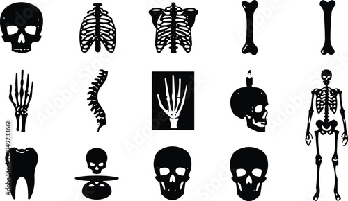 Human skeleton silhouette illustrations, skulls, rib cage, spine, bones, anatomy icons, medical education, Halloween art, creative skeletal design collection