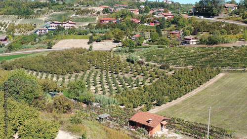 Barbaresco village and Langhe vineyards in Piedmont, Italy