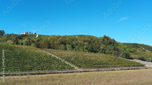 Wallpaper Mural cultivated fields in Piedmont, Italy Torontodigital.ca