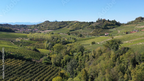 cultivated fields in Piedmont, Italy