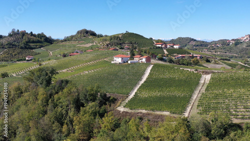 cultivated fields in Piedmont, Italy