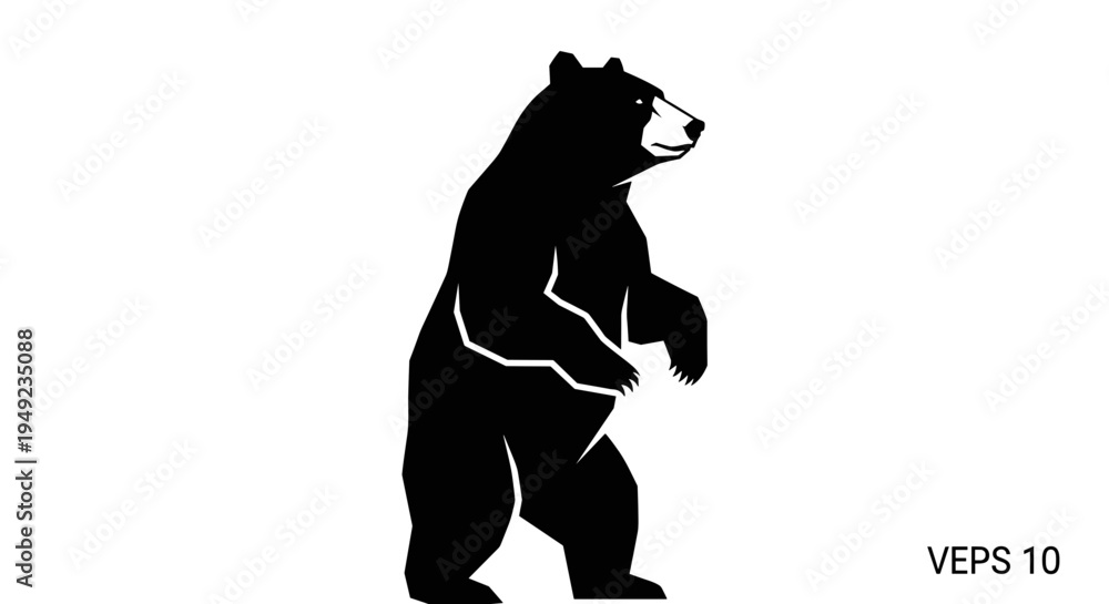 Fototapeta premium Black bear standing on two legs.