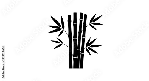 Bamboo Plant Stem Leaves.