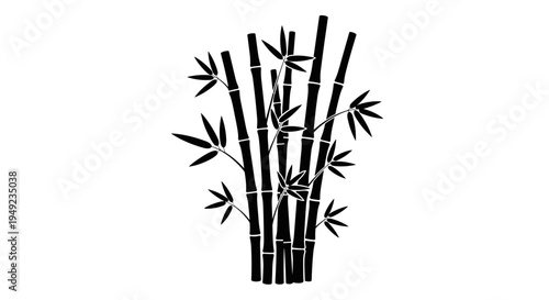 Bamboo Stems and Leaves Illustration.