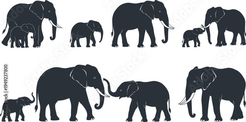 Set of six elephant family silhouettes with adult and juvenile pairs showing nurturing bonds for wildlife and educational vector design projects
