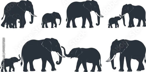 Obraz Set of six elephant family silhouettes with adult and juvenile pairs showing nurturing bonds for wildlife and educational vector design projects