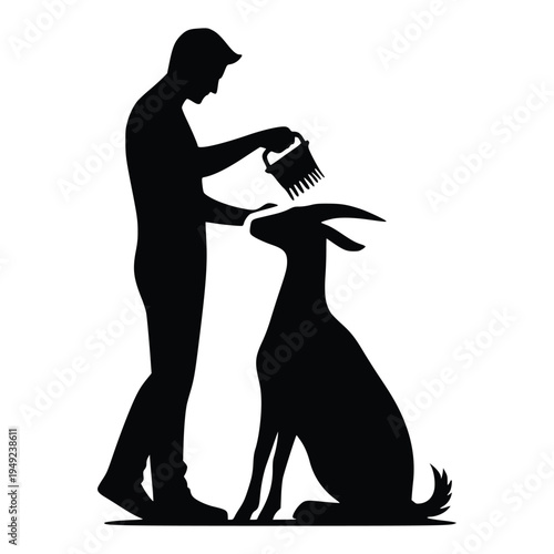 Man brushing and grooming a large domestic goat silhouette
