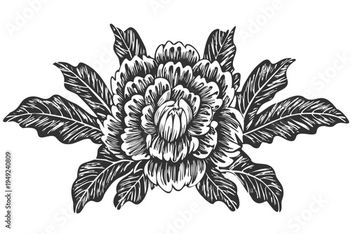 Carved floral rose with leaves art design, black white monochrome hand carved etched decoration, wooden block printing flower folk pattern, intricate bold lines graphic vector botanical ornament