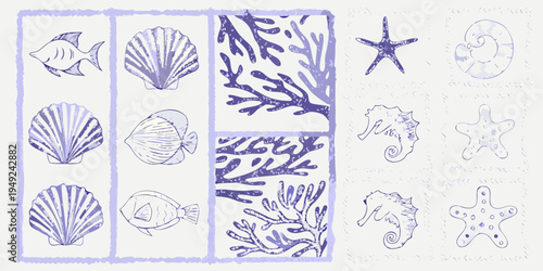 Blue sketches of marine life and seashells arranged in a grid pattern