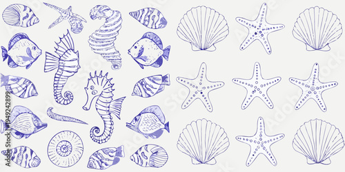 Vintage style illustration of various marine life and seashells