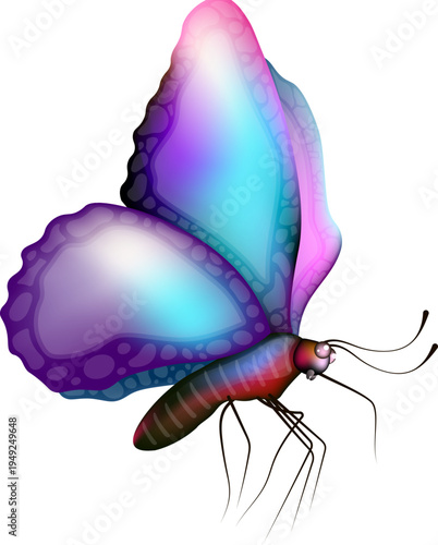 Colorful Butterfly Illustration