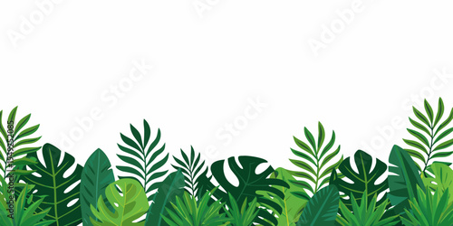 Lush tropical foliage border with varying shades of green leaves