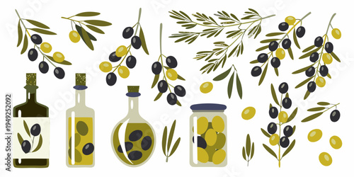 Illustration of olive branches olives and bottles on a white background
