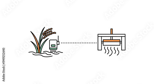 Biofuel production process from plants.