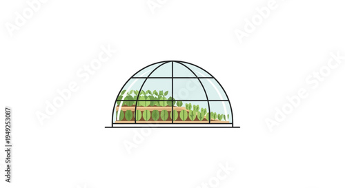 A greenhouse with a glass dome.