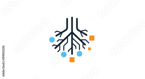 Anatomy of human lung bronchi.
