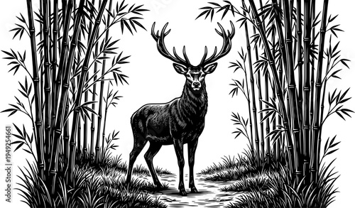 Woodcut Illustration of a Majestic Deer Amidst Bamboo Thicket La

