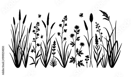 Black Botanical Meadow Silhouettes with Grass Flowers Herbs and Insects