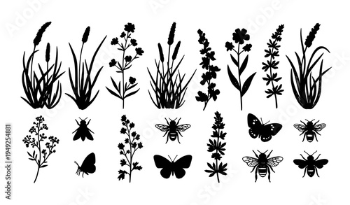 Hand Drawn Botanical Silhouette Set Grass Flowers Herbs and Insects